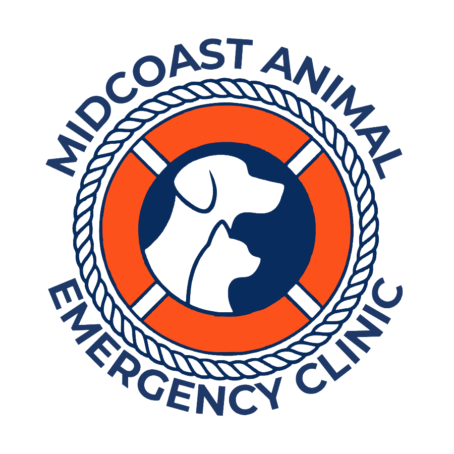 Midcoast Animal Emergency Clinic