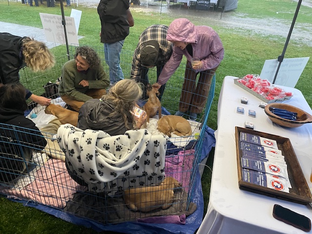 Community Involvement