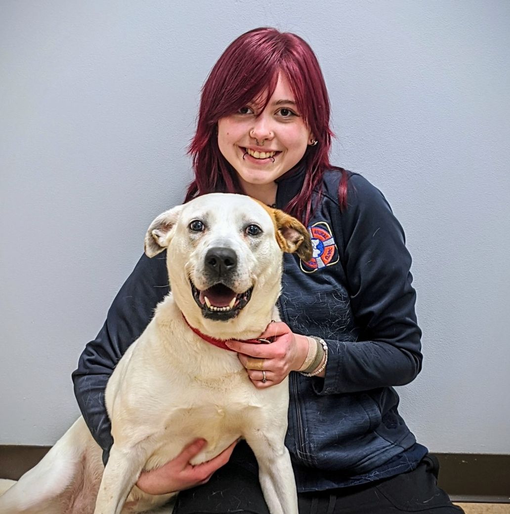 Katie Fowles - Veterinary Technician