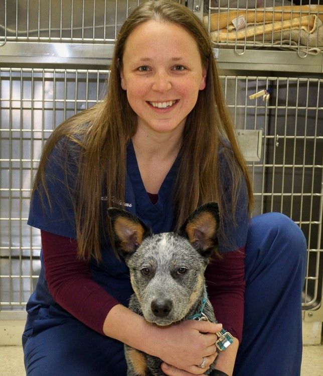 Meredith Williams - Veterinary Technician